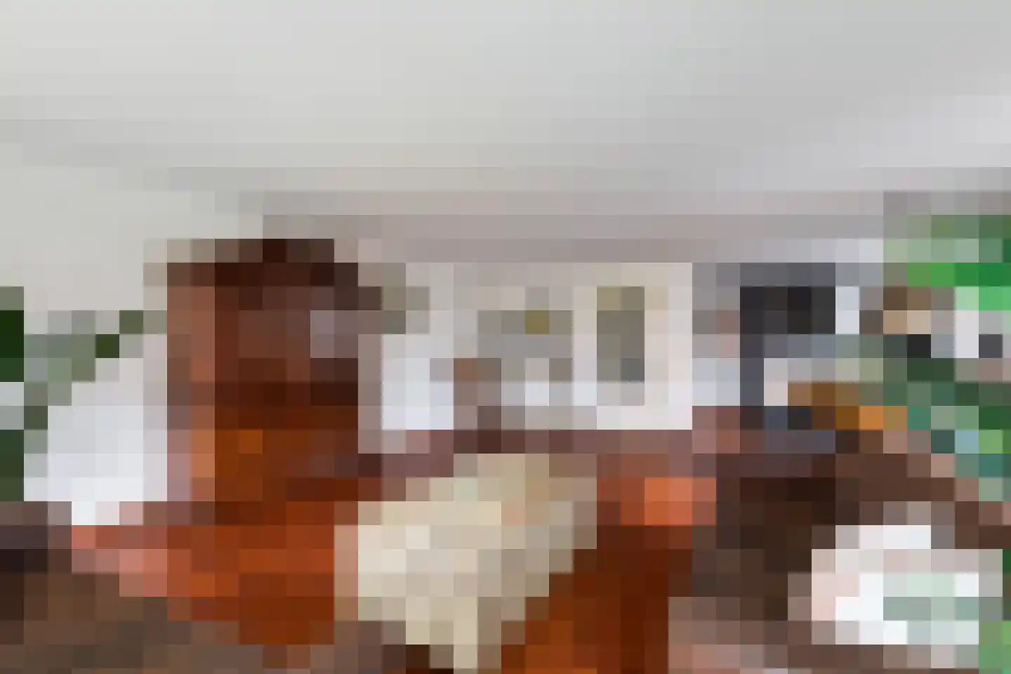 Lijstersingel 59 Capelle aan den IJssel thumbnail 7