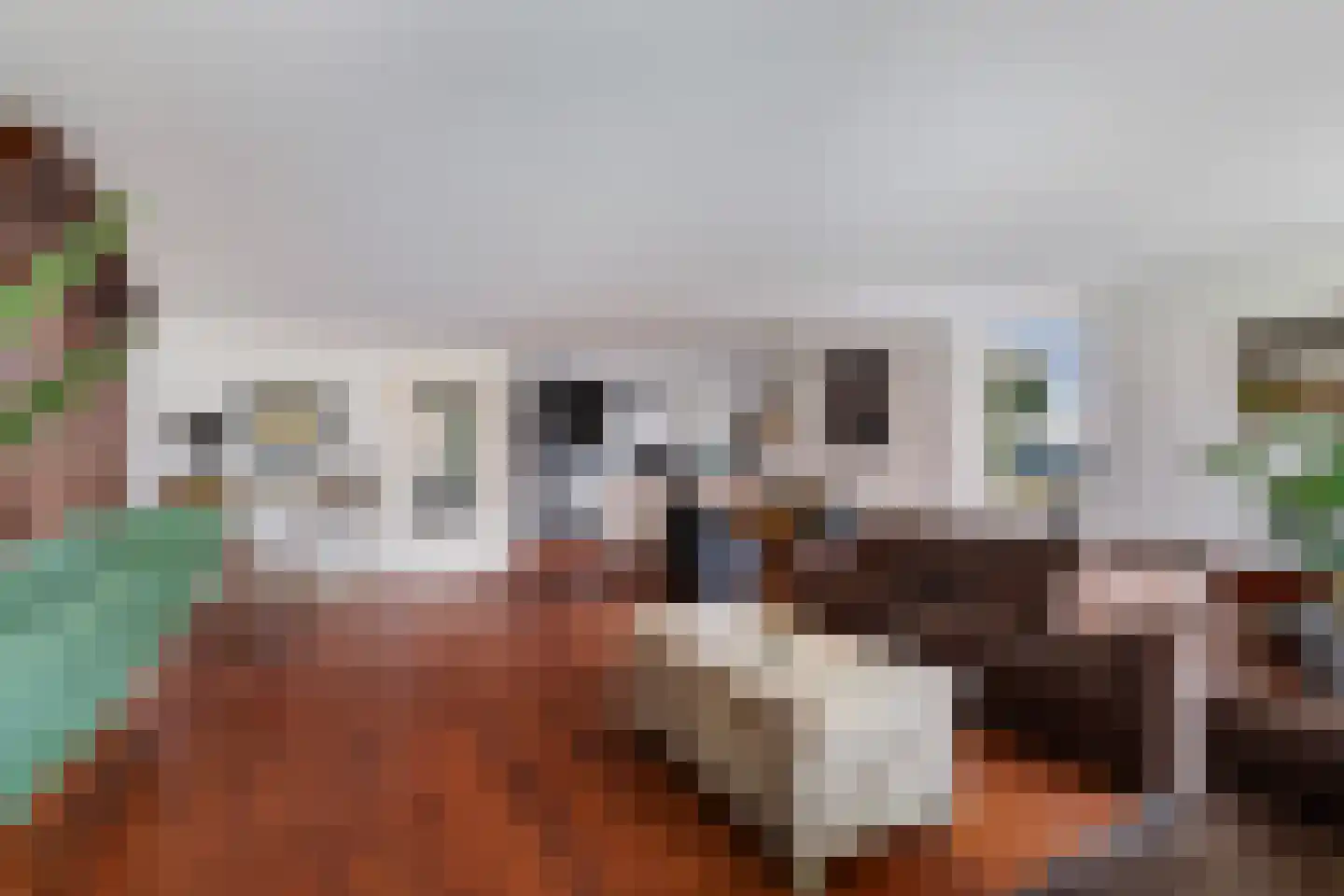 Lijstersingel 59 Capelle aan den IJssel thumbnail 9