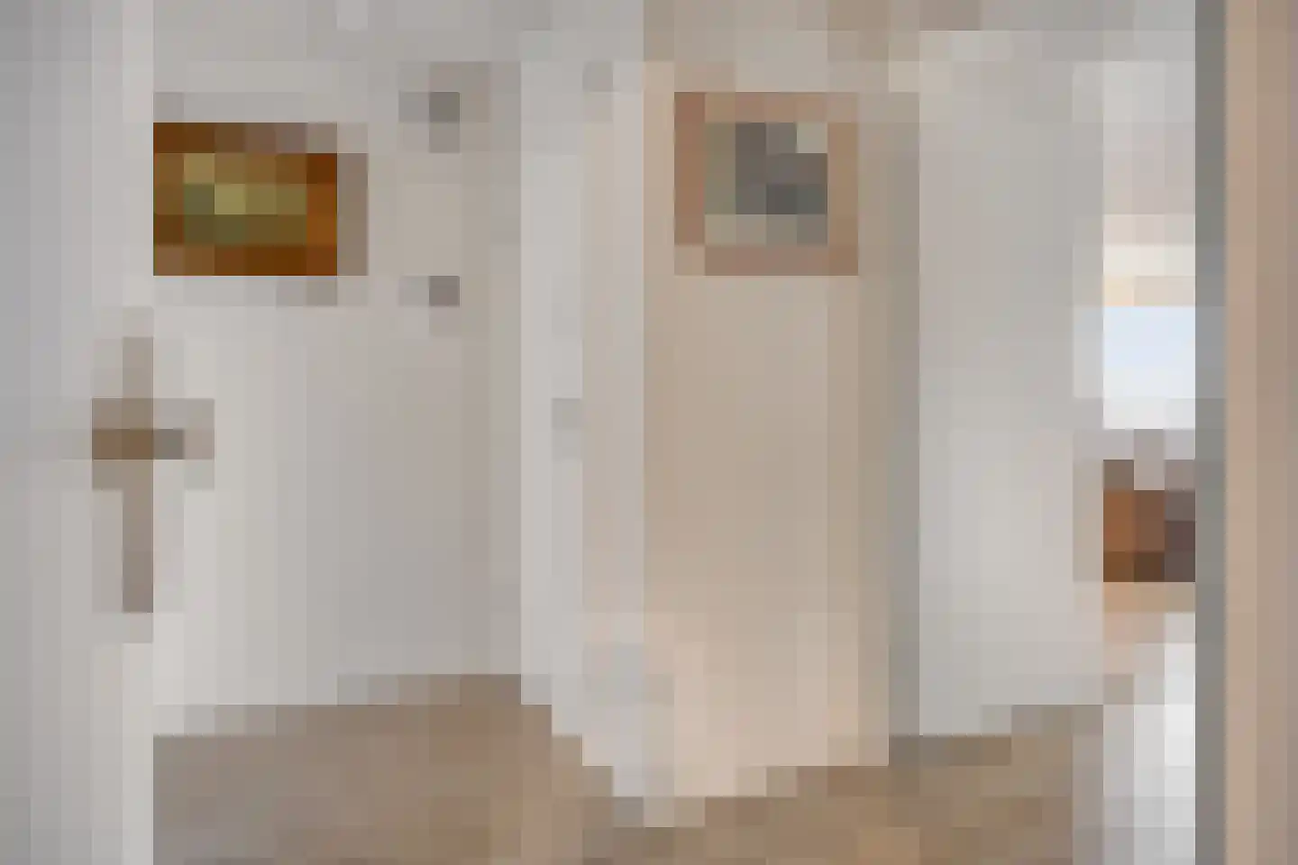 Lijstersingel 80 Capelle aan den IJssel thumbnail 10