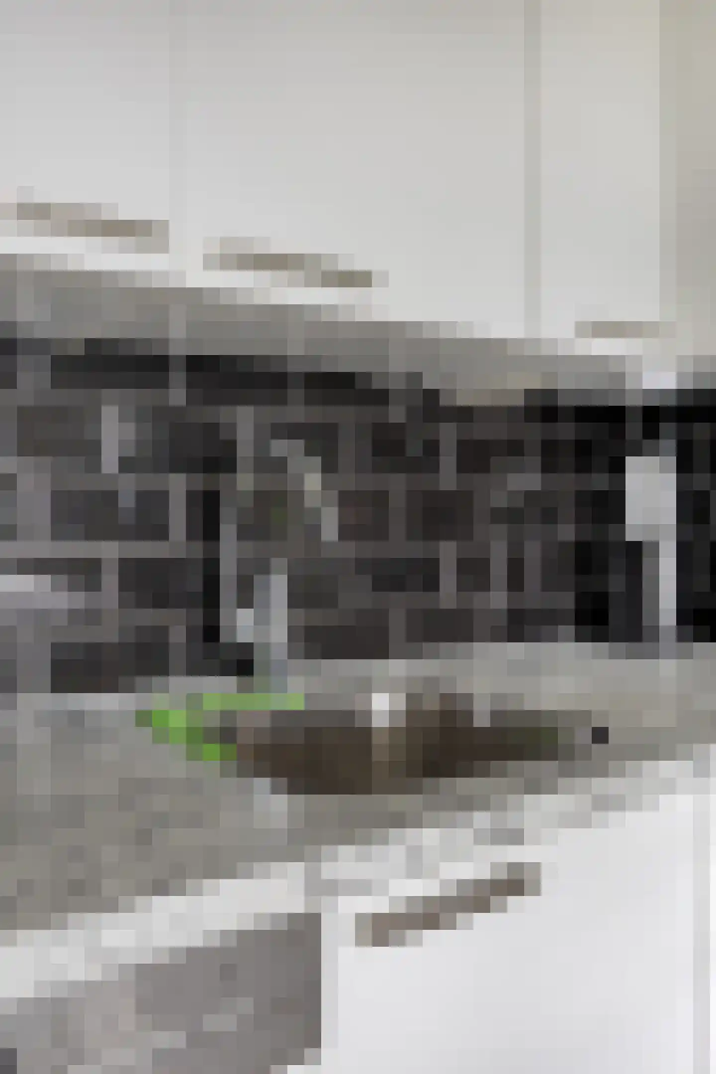 Lijstersingel 80 Capelle aan den IJssel thumbnail 21