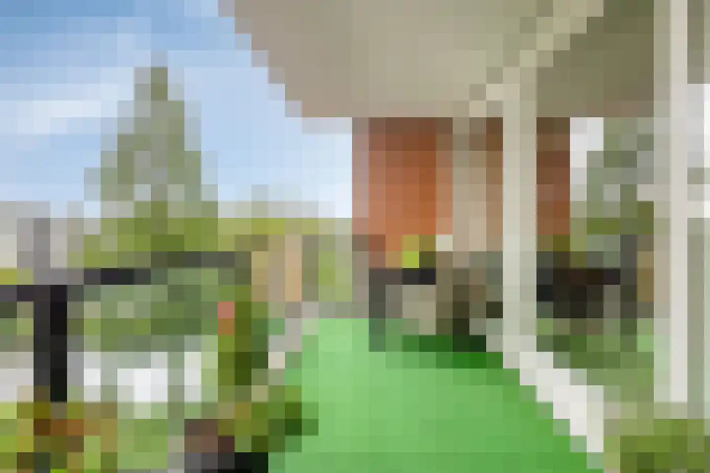 Lijstersingel 80 Capelle aan den IJssel thumbnail 23