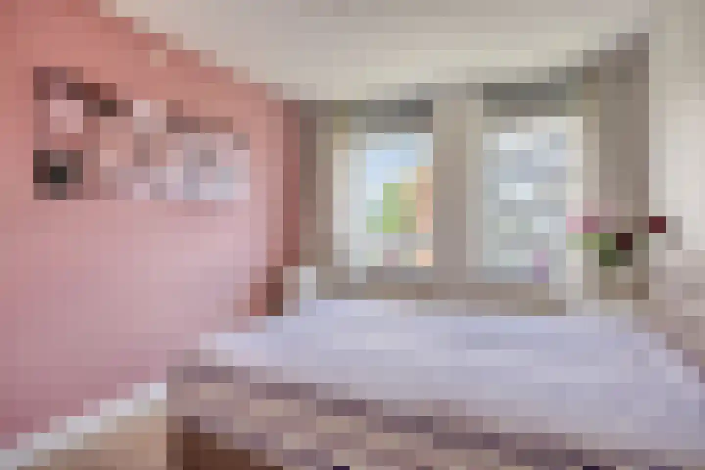 Lijstersingel 80 Capelle aan den IJssel thumbnail 32