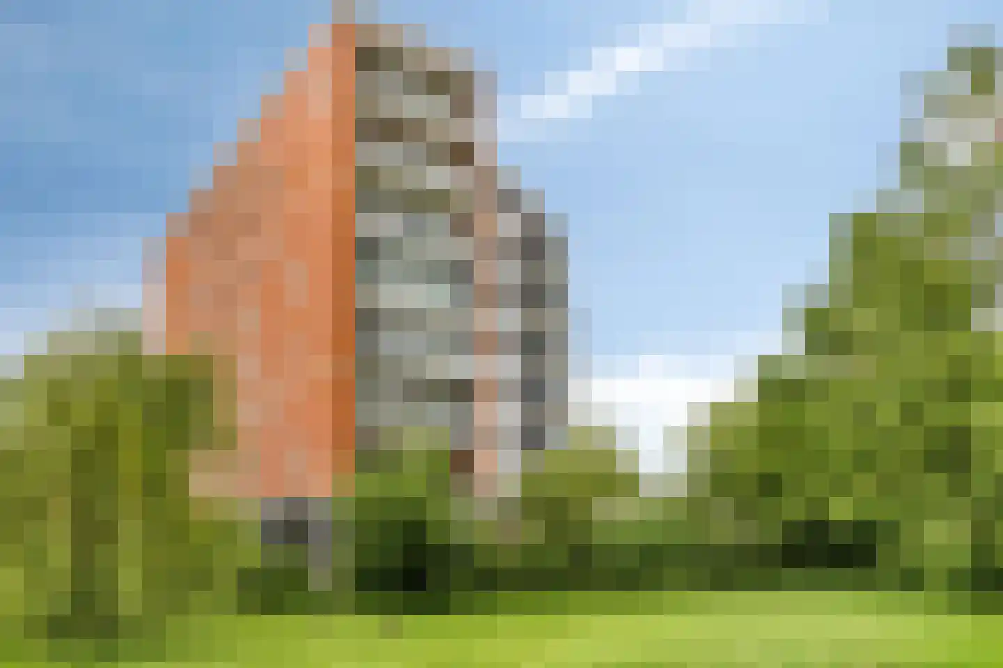 Lijstersingel 80 Capelle aan den IJssel thumbnail 40