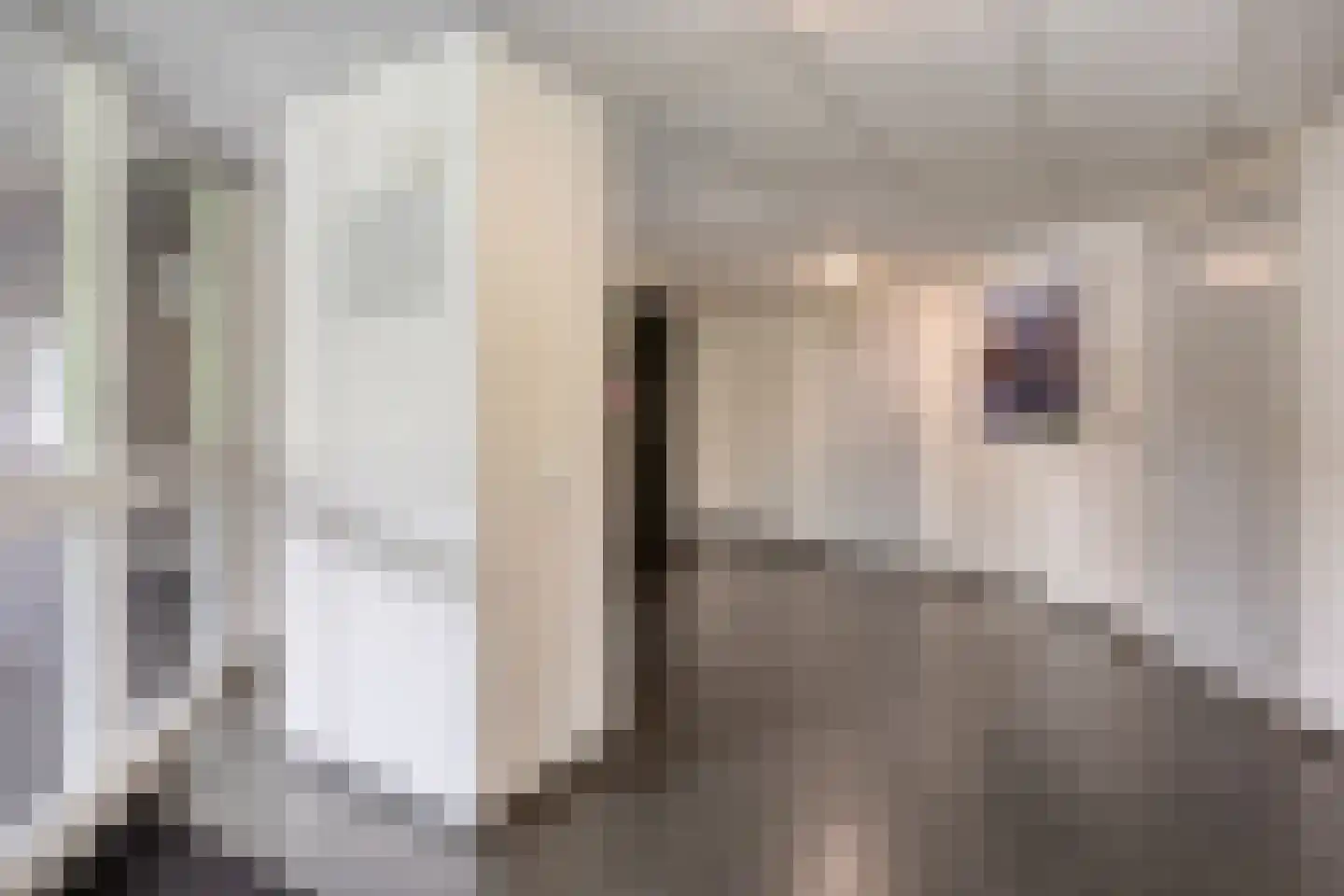 Lijstersingel 80 Capelle aan den IJssel thumbnail 6