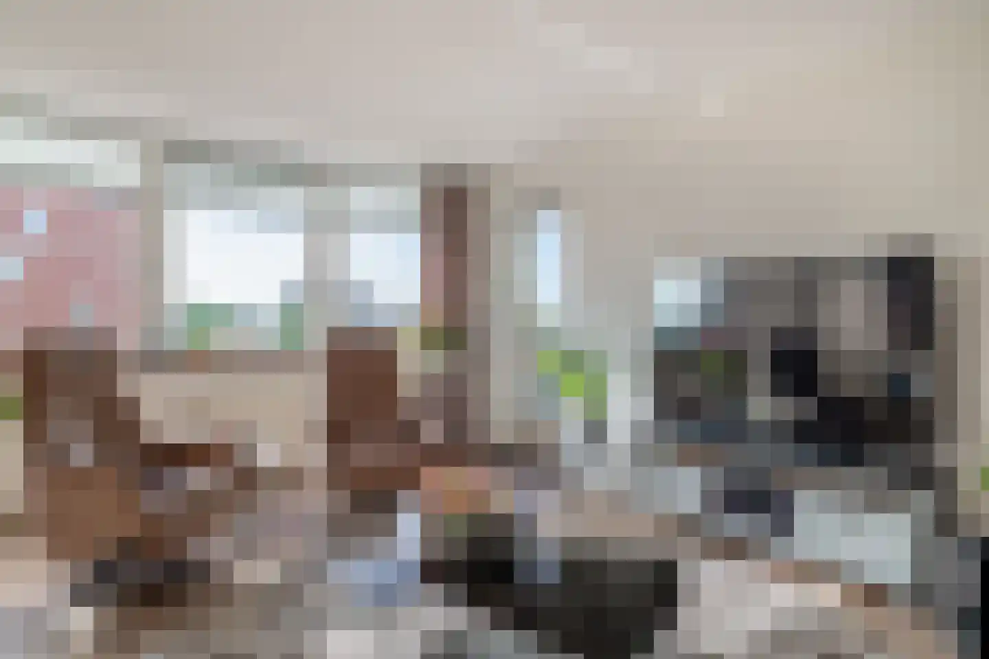 Lijstersingel 87 Capelle aan den IJssel thumbnail 8