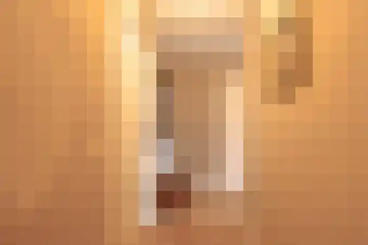 Lijstersingel 88 Capelle aan den IJssel thumbnail 11