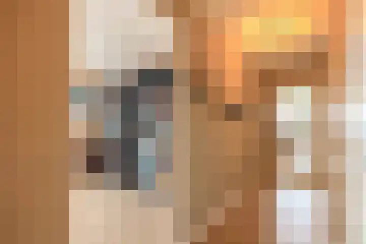 Lijstersingel 88 Capelle aan den IJssel thumbnail 13