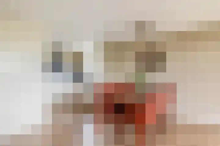 Lijstersingel 88 Capelle aan den IJssel thumbnail 18