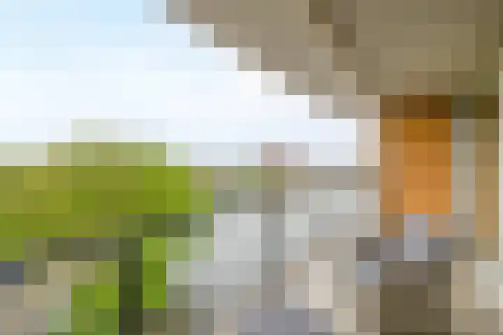 Lijstersingel 88 Capelle aan den IJssel thumbnail 33