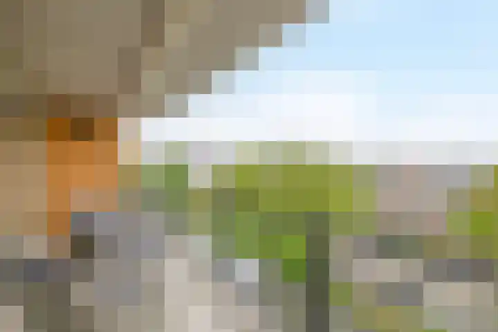 Lijstersingel 88 Capelle aan den IJssel thumbnail 34