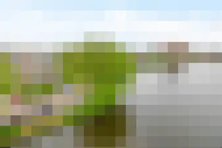 Lijstersingel 88 Capelle aan den IJssel thumbnail 35