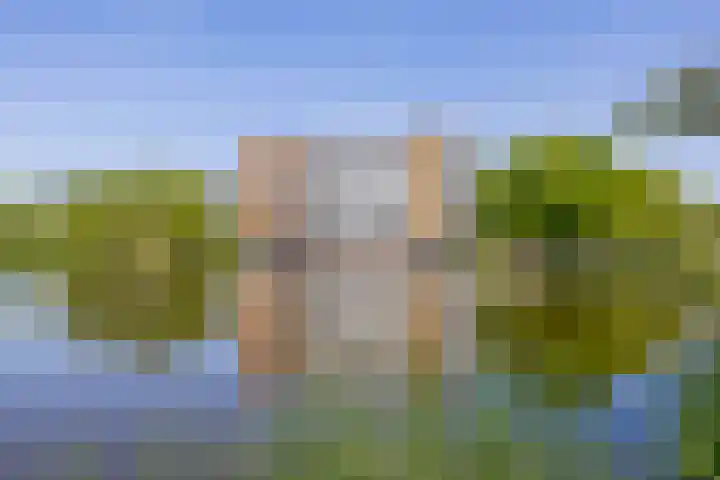 Lijstersingel 88 Capelle aan den IJssel thumbnail 37