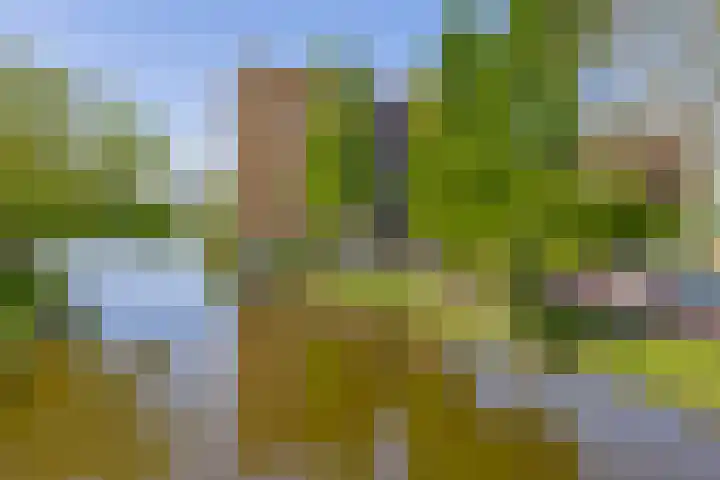 Lijstersingel 88 Capelle aan den IJssel thumbnail 39