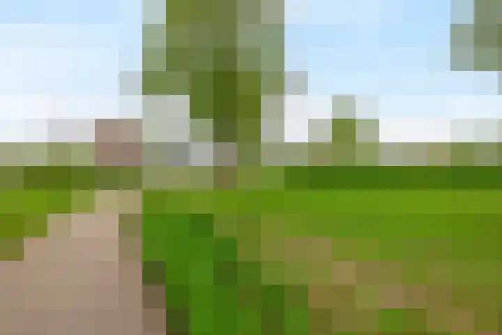 Lijstersingel 88 Capelle aan den IJssel thumbnail 40