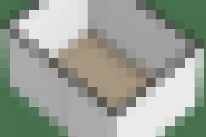Lijstersingel 88 Capelle aan den IJssel thumbnail 44