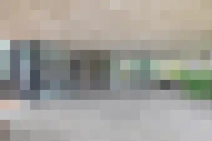 Lijstersingel 88 Capelle aan den IJssel thumbnail 5