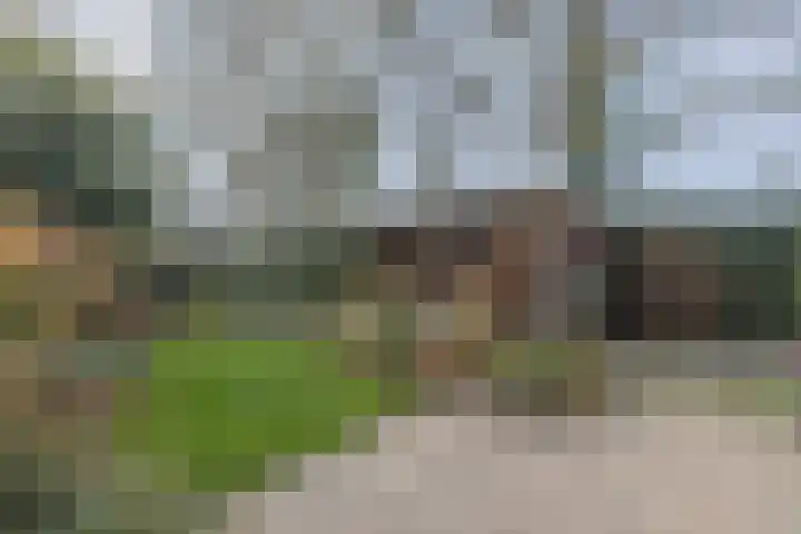 Lijsterstraat 1 Arnhem thumbnail 28