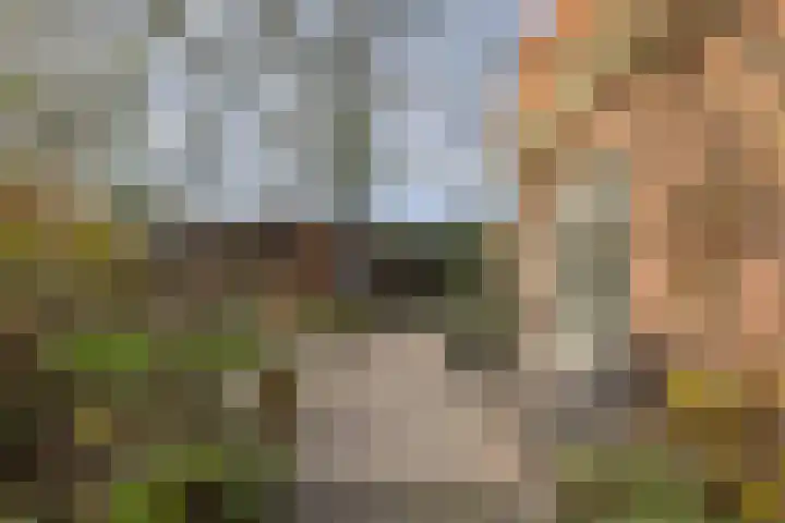 Lijsterstraat 1 Arnhem thumbnail 30