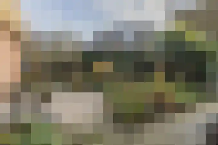 Lijsterstraat 1 Arnhem thumbnail 31
