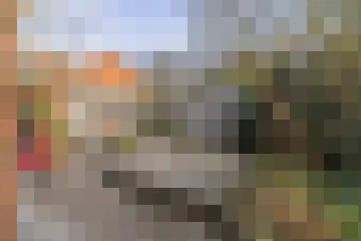 Lijsterstraat 1 Arnhem thumbnail 33