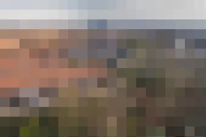 Lijsterstraat 1 Arnhem thumbnail 36