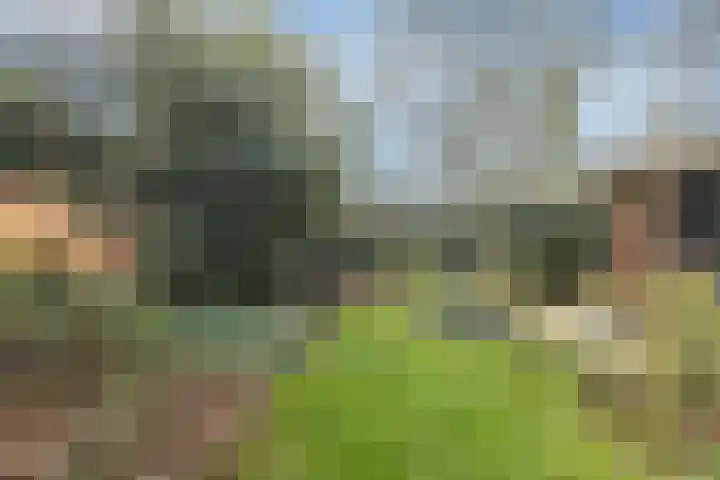 Lijsterstraat 1 Arnhem thumbnail 4