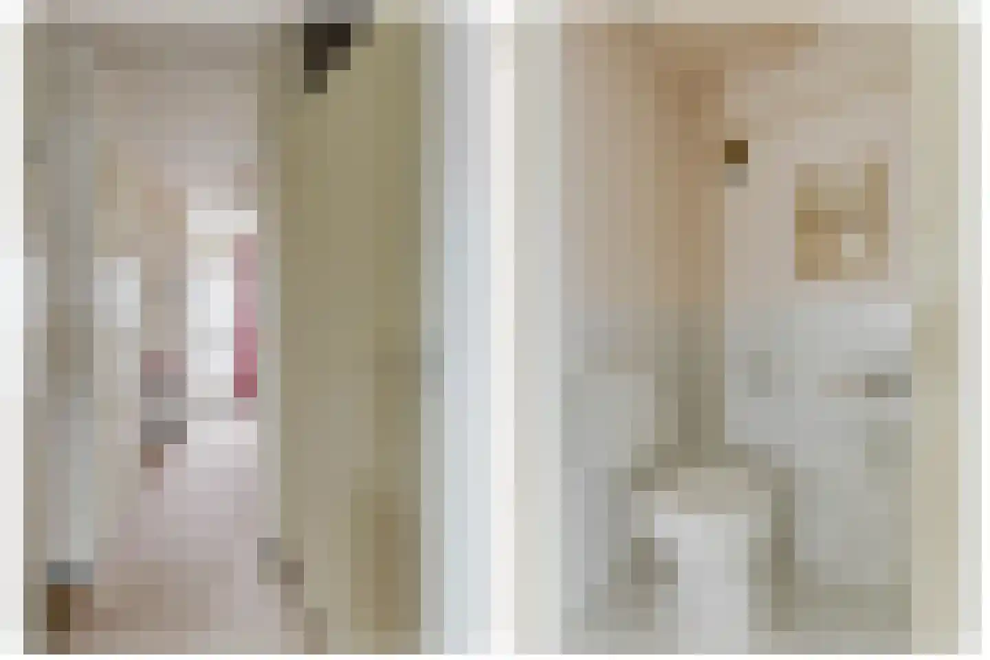 Lijsterstraat 1 b Zundert thumbnail 11