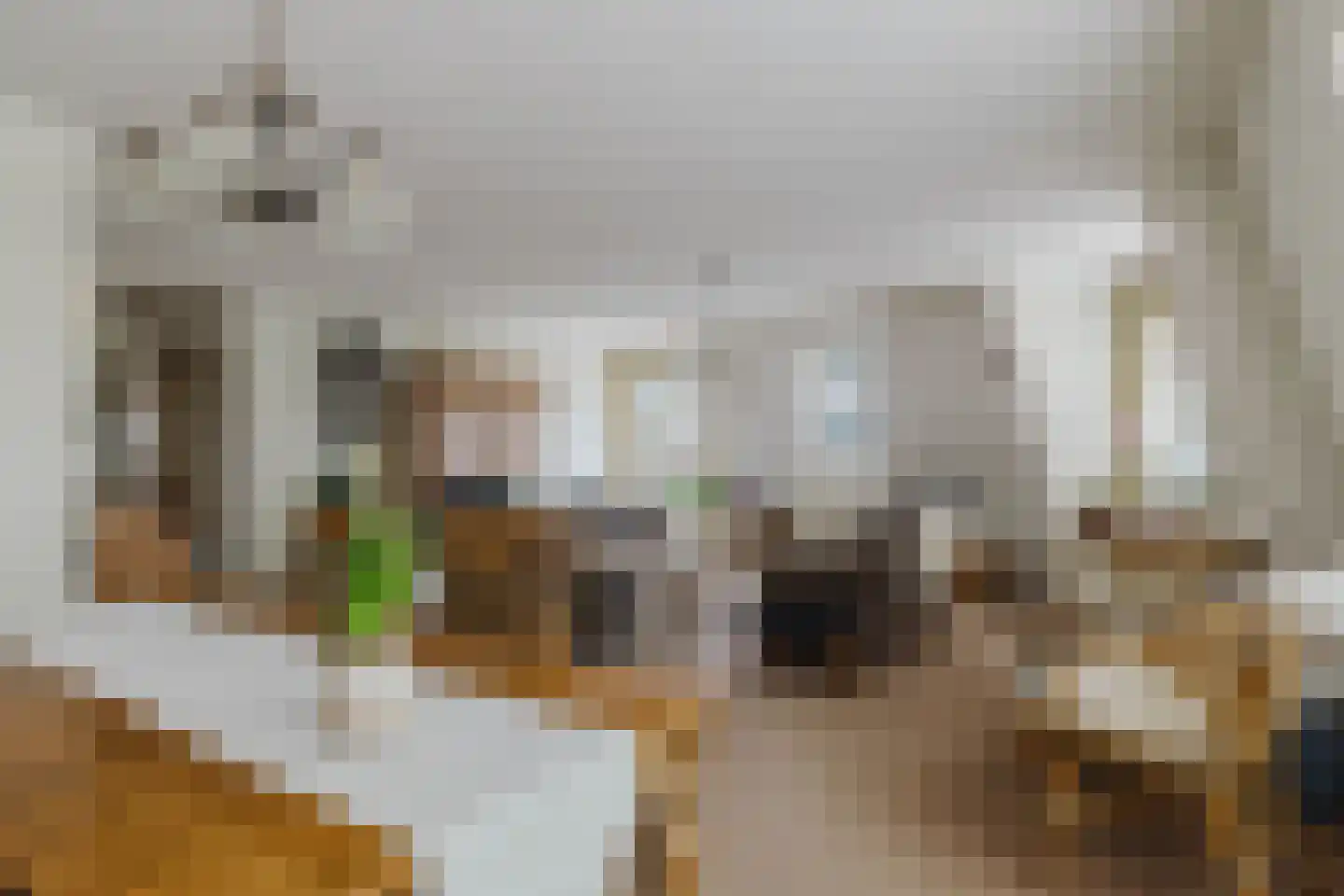 Lijsterstraat 1 b Zundert thumbnail 21