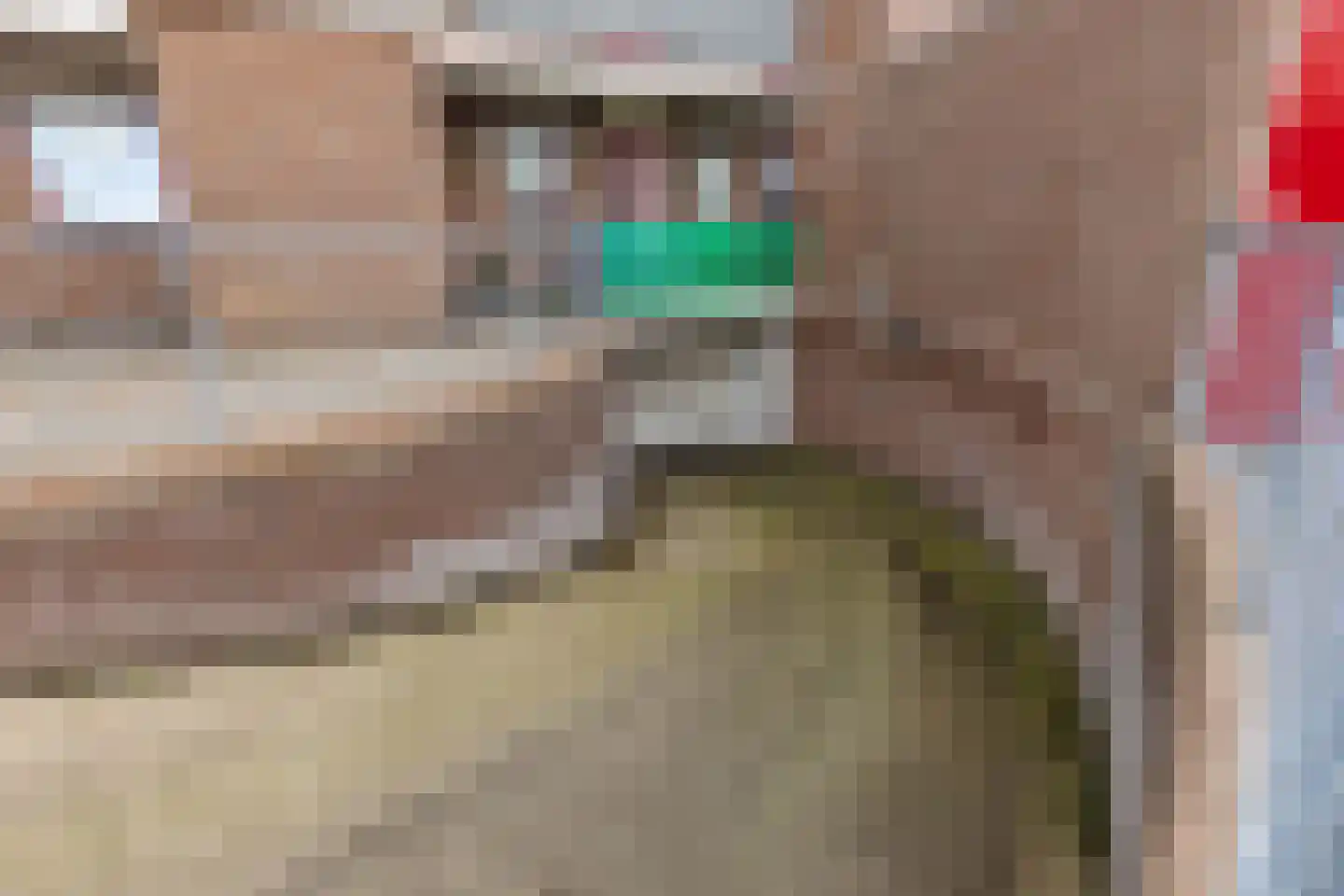Lijsterstraat 1 b Zundert thumbnail 31