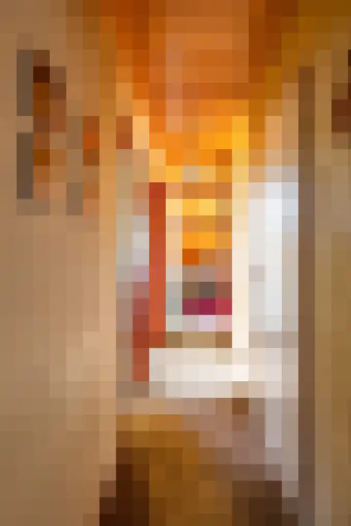 Lijsterstraat 1 Bergen L thumbnail 17