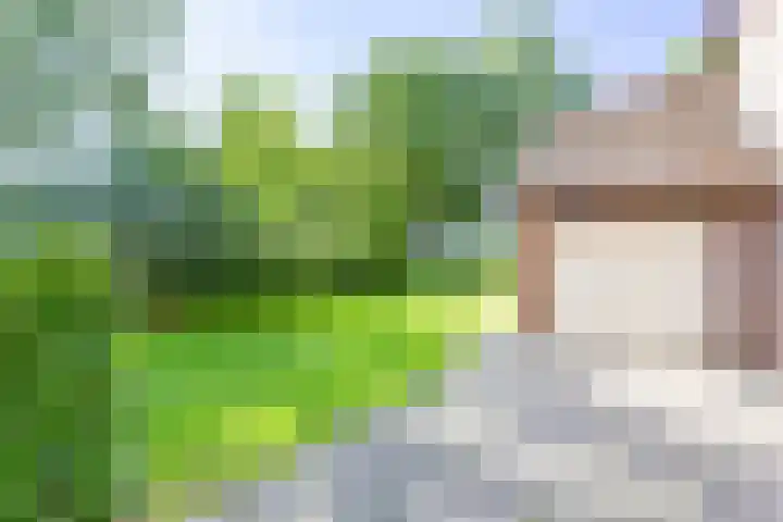 Lijsterstraat 1 Bergen L thumbnail 33