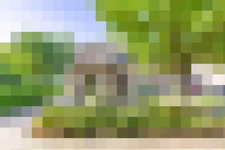 Lijsterstraat 1 Bergen L thumbnail 7