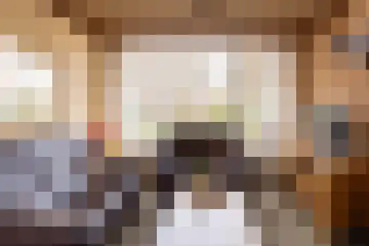 Lijsterstraat 1 E Ulft thumbnail 13