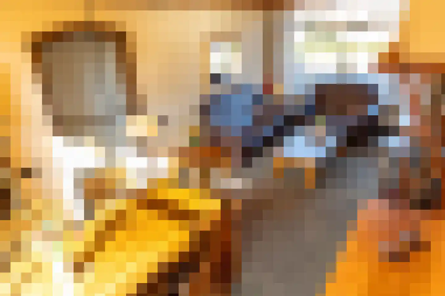 Lijsterstraat 1 E Ulft thumbnail 14