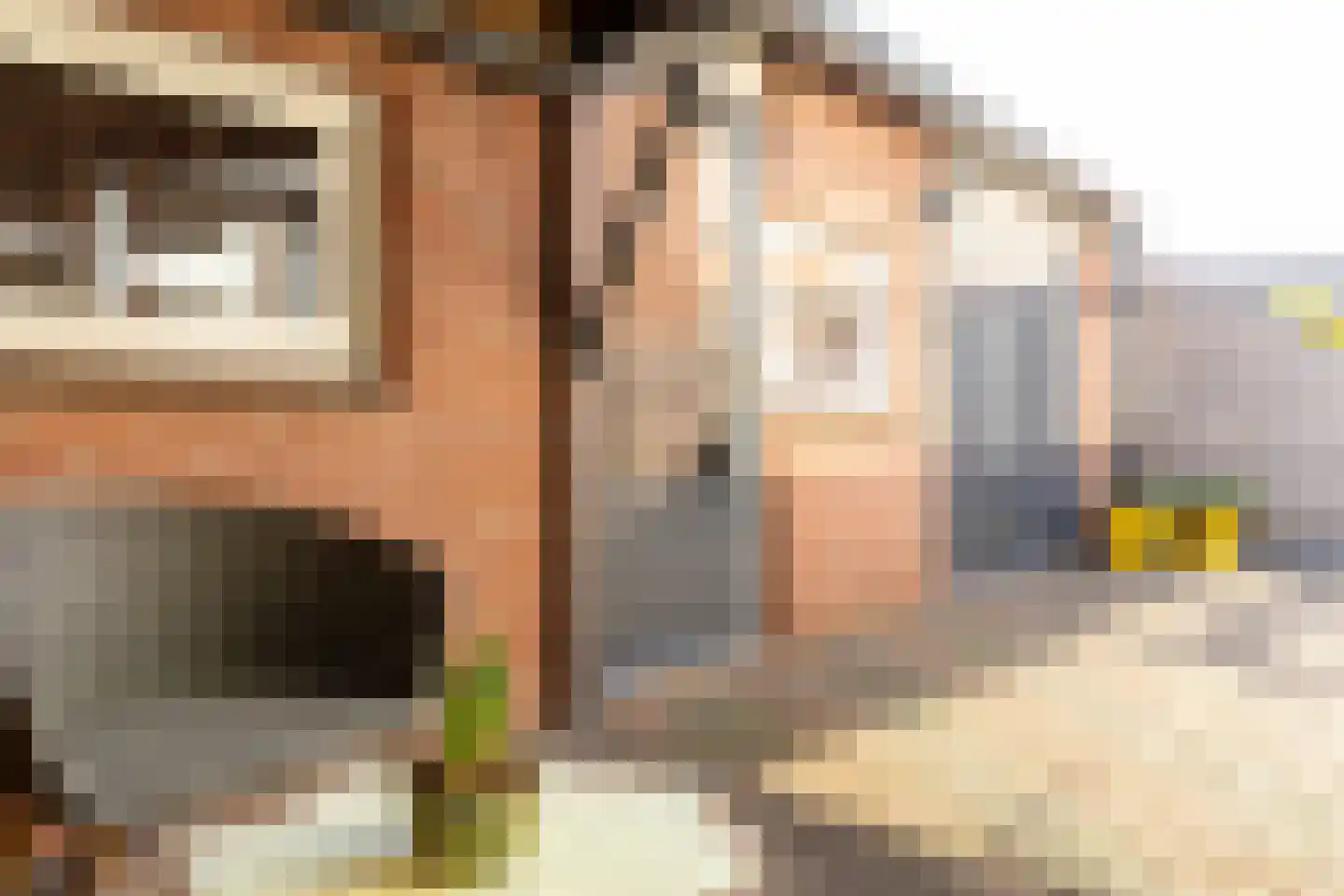 Lijsterstraat 1 E Ulft thumbnail 26