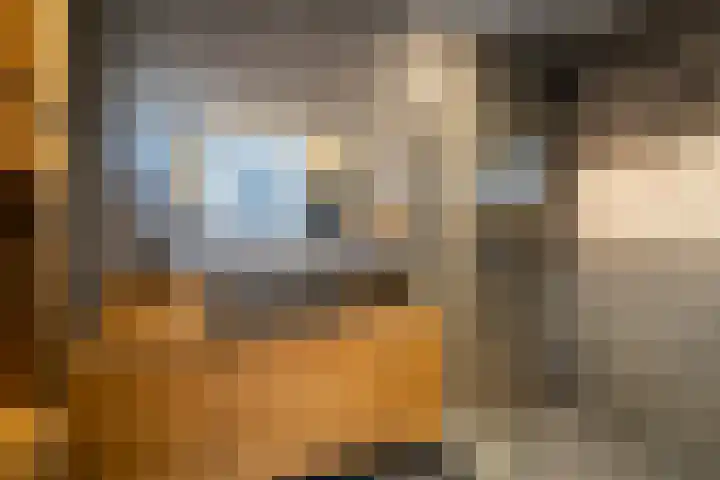 Lijsterstraat 1 Tilburg thumbnail 15