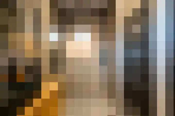 Lijsterstraat 1 Tilburg thumbnail 16