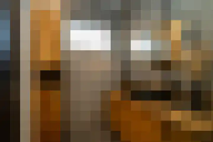 Lijsterstraat 1 Tilburg thumbnail 17
