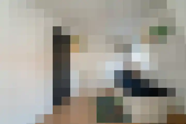 Lijsterstraat 1 Tilburg thumbnail 22