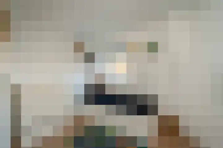 Lijsterstraat 1 Tilburg thumbnail 23
