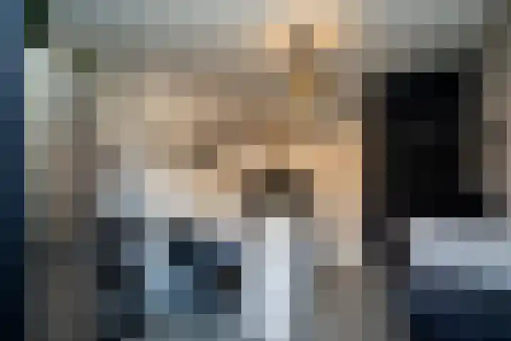 Lijsterstraat 1 Tilburg thumbnail 30