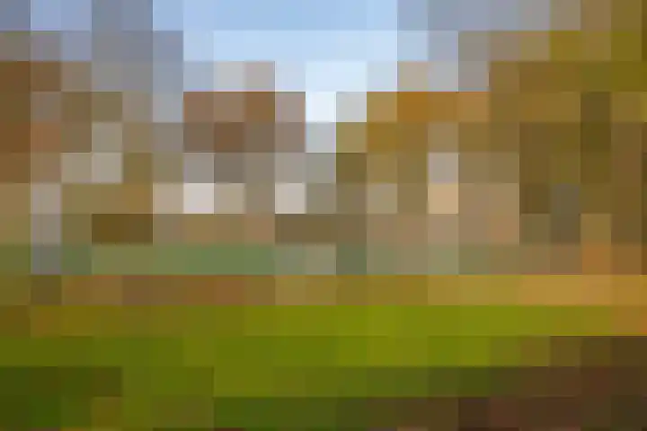Lijsterstraat 1 Tilburg thumbnail 31