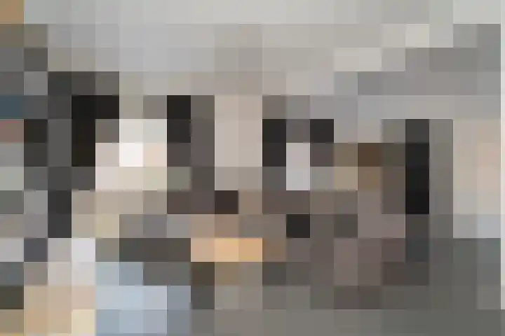 Lijsterstraat 1 Tilburg thumbnail 6