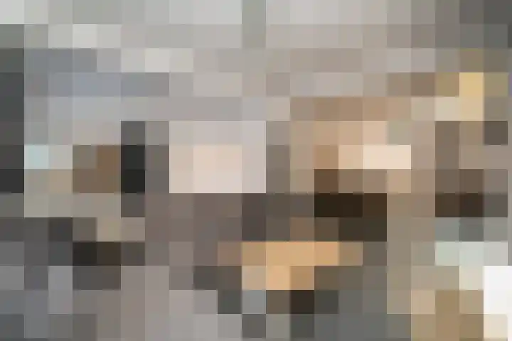 Lijsterstraat 1 Tilburg thumbnail 8