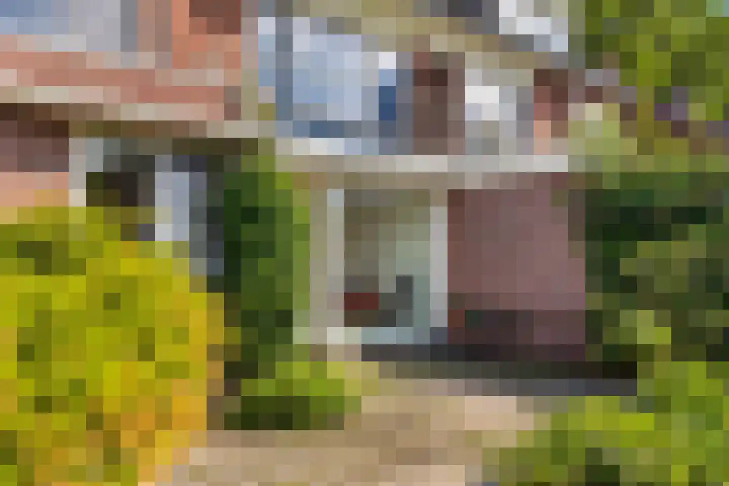 Lijsterstraat 10 Enschede thumbnail 28