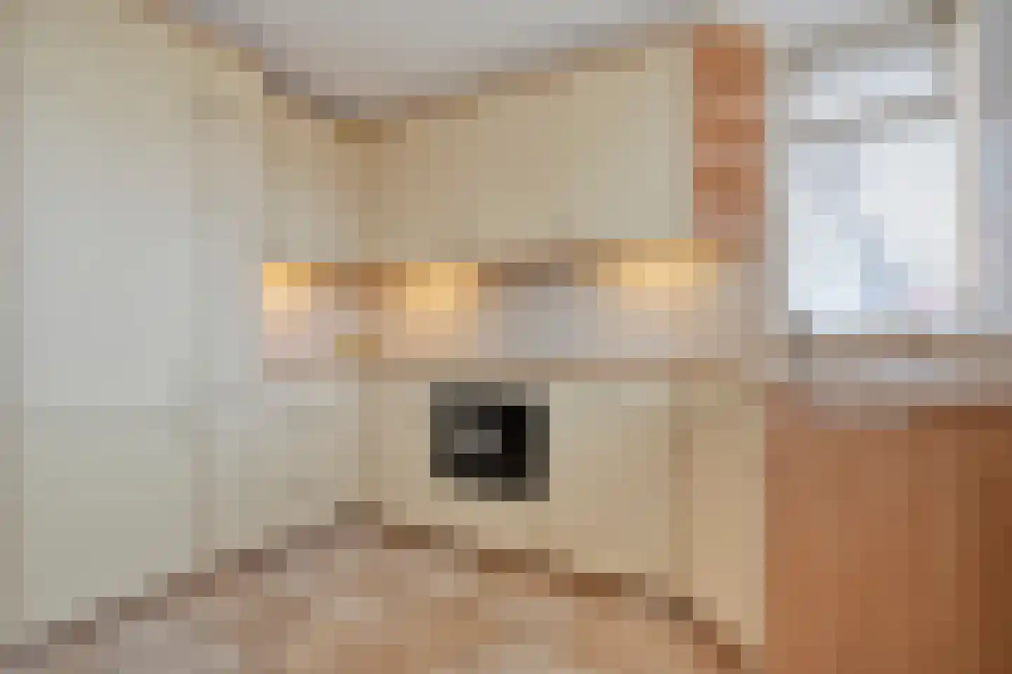 Lijsterstraat 10 Nijeveen thumbnail 17