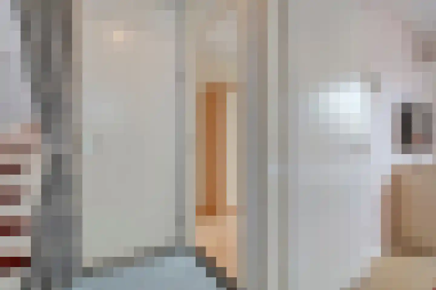 Lijsterstraat 10 Nijeveen thumbnail 22