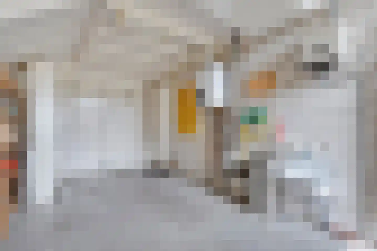 Lijsterstraat 10 Nijeveen thumbnail 37