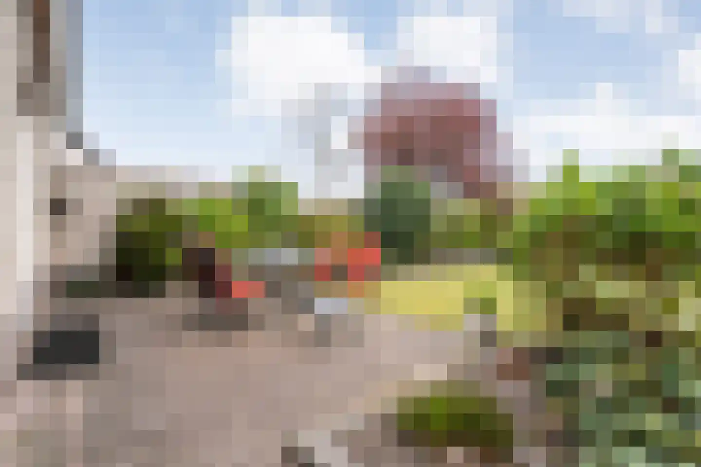 Lijsterstraat 10 Nijeveen thumbnail 38
