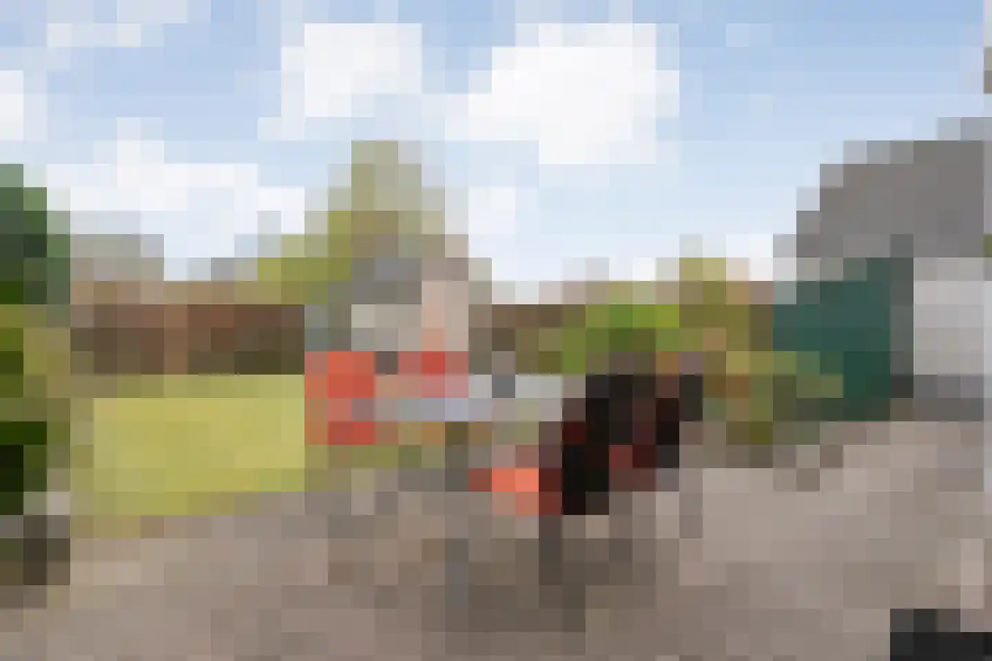 Lijsterstraat 10 Nijeveen thumbnail 40